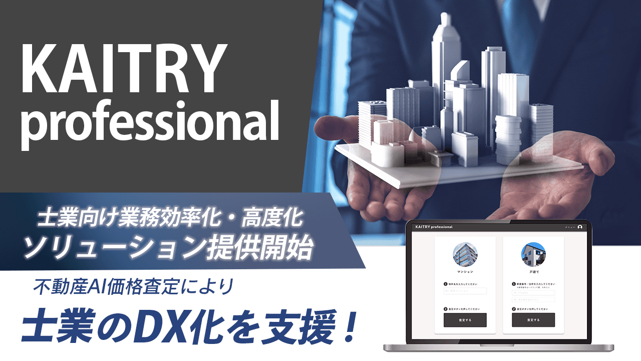 士業向け業務効率化・高度化ソリューション『KAITRY professional』提供開始