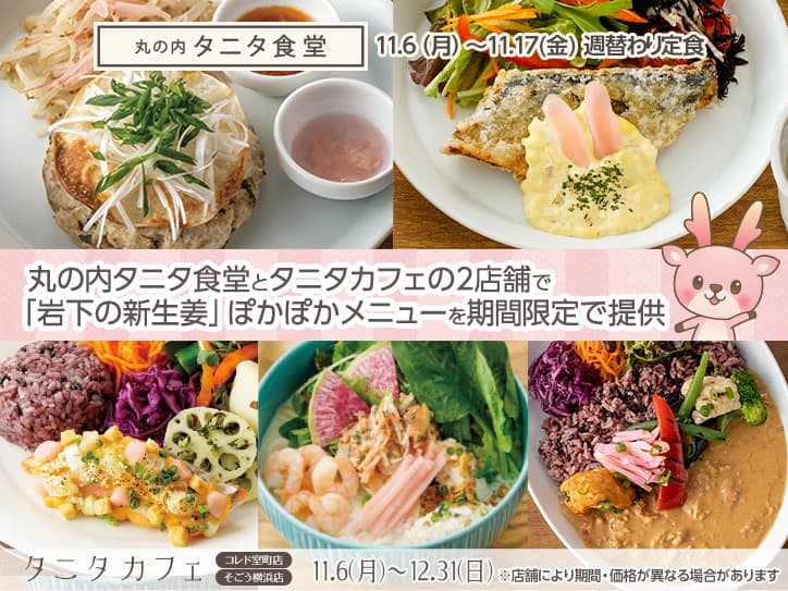 丸の内タニタ食堂とタニタカフェ2店舗（コレド室町店、そごう横浜店）で「岩下の新生姜」ぽかぽか＆ヘルシーメニューを11月6日から期間限定で提供