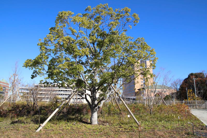 「蓄積した創薬技術を活かし、独創的な製品開発に挑む製薬企業」の企業情報を2023年2月7日HPに公開しました。