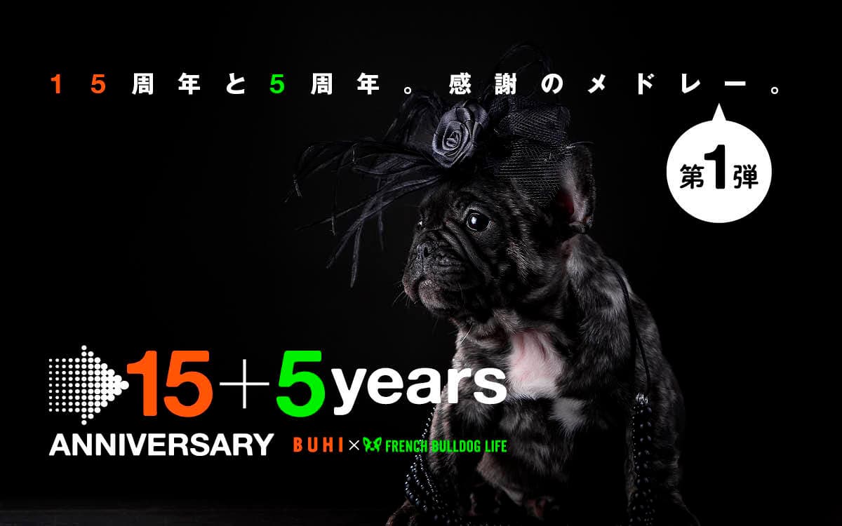 rakanu、運営するフレンチブルドッグ専門メディア「BUHI」が15年目、 「FRENCH BULLDOG LIFE」が5年目に突入