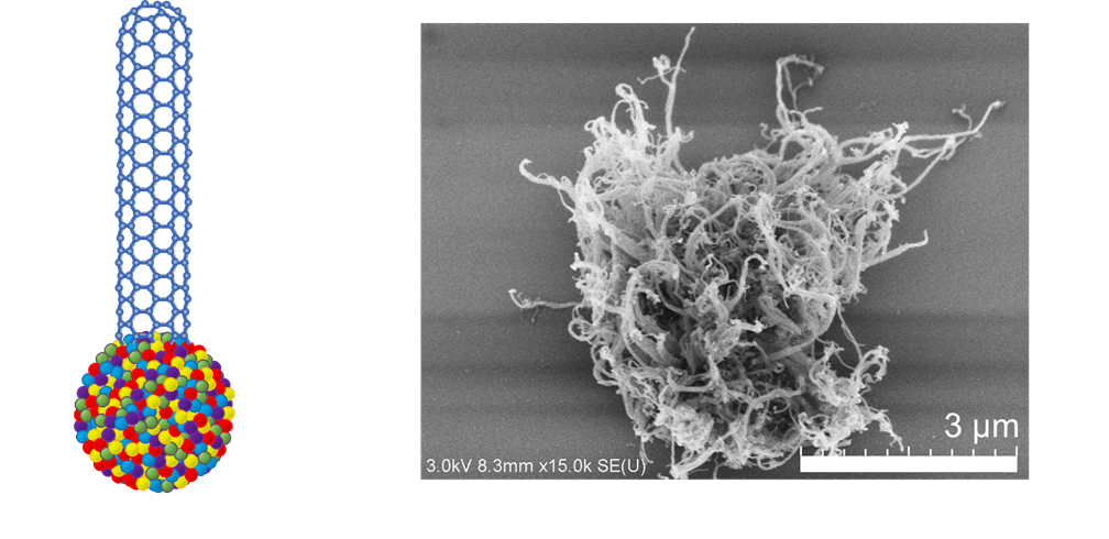 【名城大学】ハイエントロピー合金からのカーボンナノチューブ合成に成功―エレクトロニクス分野への応用に期待―