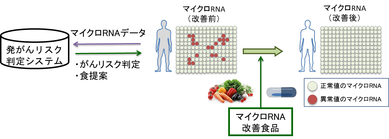 “将来の発がんリスク判定技術の実現”に向けて。NEDOが始める「人と共に進化する次世代人工知能に関する技術開発事業」の研究開発テーマ=「説明できるAIの基盤技術開発」に採択されました。