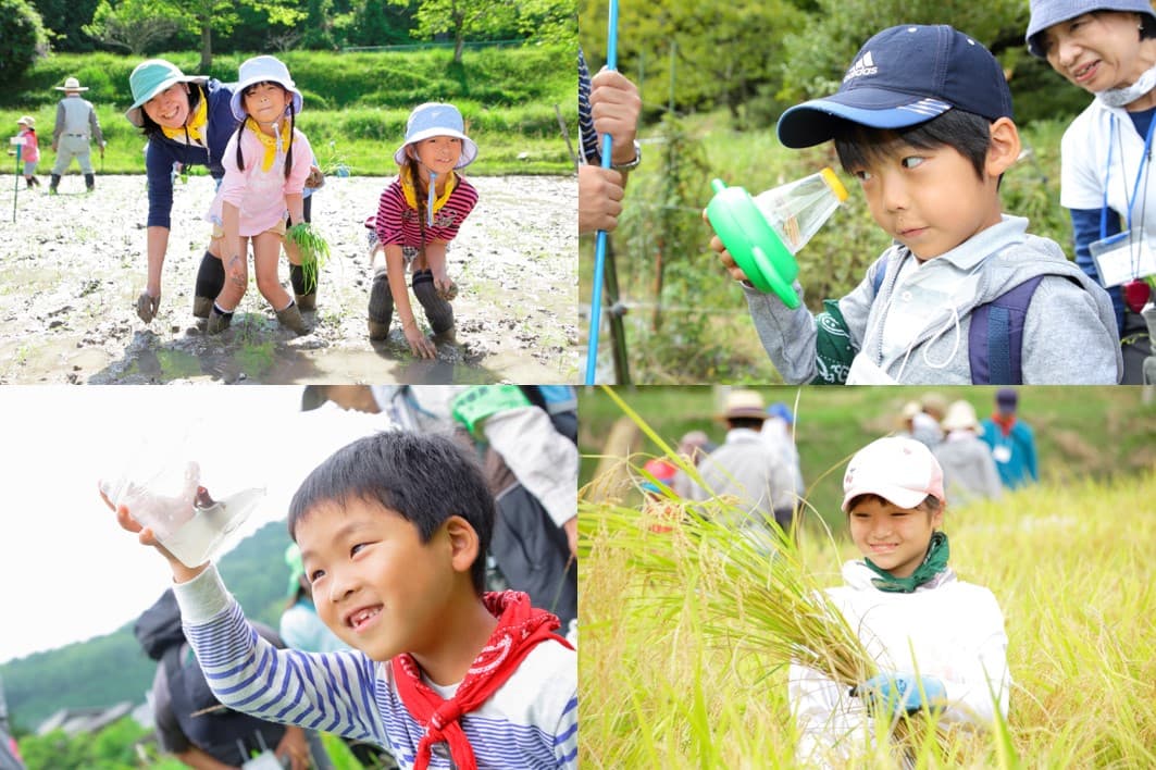 宝酒造「田んぼの学校」２０２３　参加者募集を開始