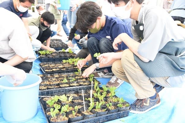 地域住民、立命館大学教職員・学生、京福電気鉄道社員が活動中　京都府の絶滅寸前種「フジバカマ」の保全活動を実施