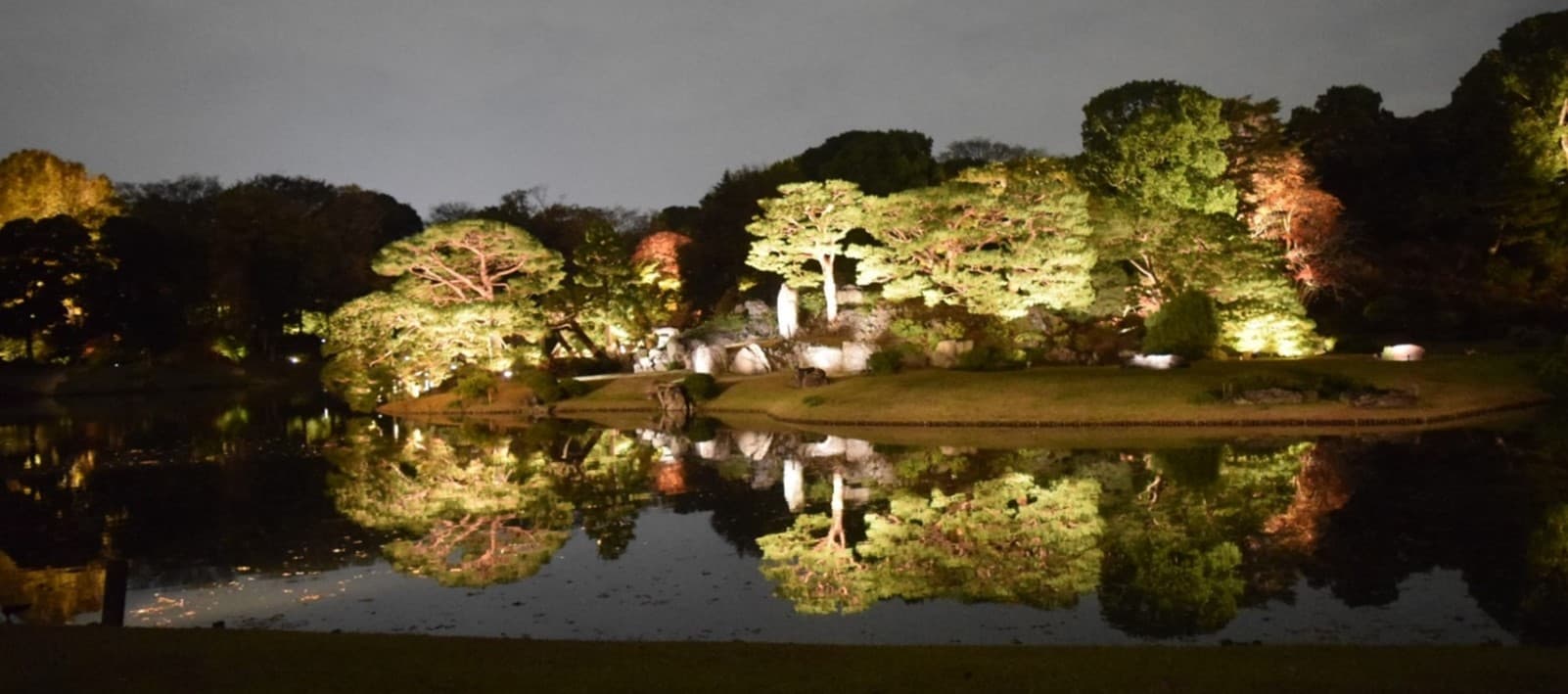 庭紅葉の六義園 夜間特別観賞【11/22～開催】