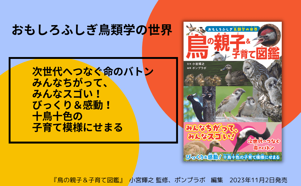 みんなちがって、みんなスゴい！ 『鳥の親子&子育て図鑑』が11月2日発売