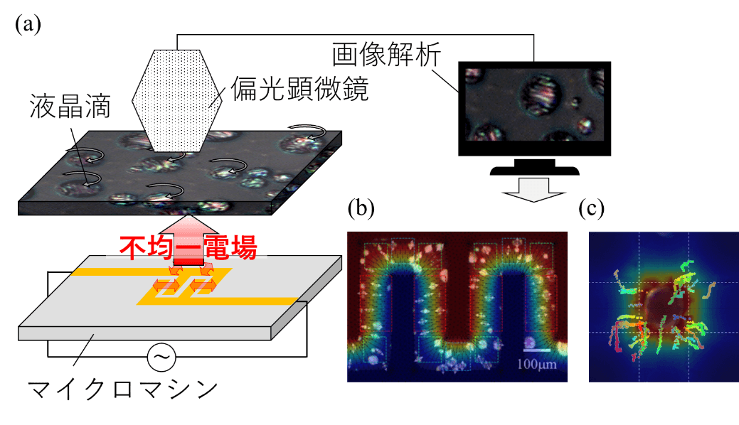 小さな液晶滴が微細電極周囲の電場を可視化！～設計時のリアルタイム電気特性評価とフィードバックにより、身の回りにあふれるマイクロマシンのコスト削減・寿命延長に期待～