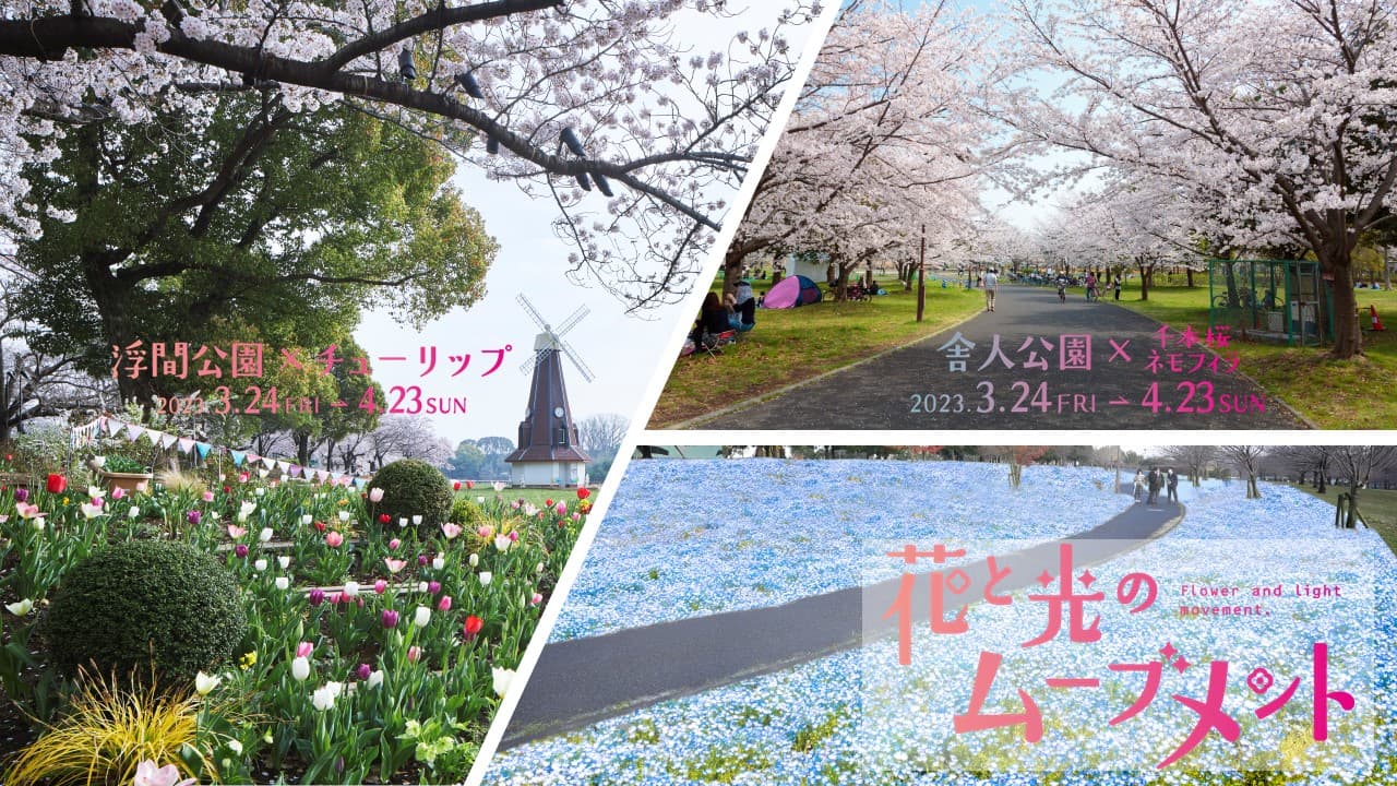 今春は舎人公園と浮間公園で同時開催！　桜とチューリップ、ネモフィラでカラフルに彩る「花と光のムーブメント」3/24～4/23開催