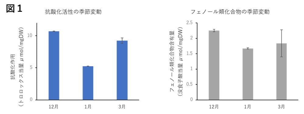 【名城大学】海苔のもつ抗酸化作用～季節変動と加工工程による増強を発見～