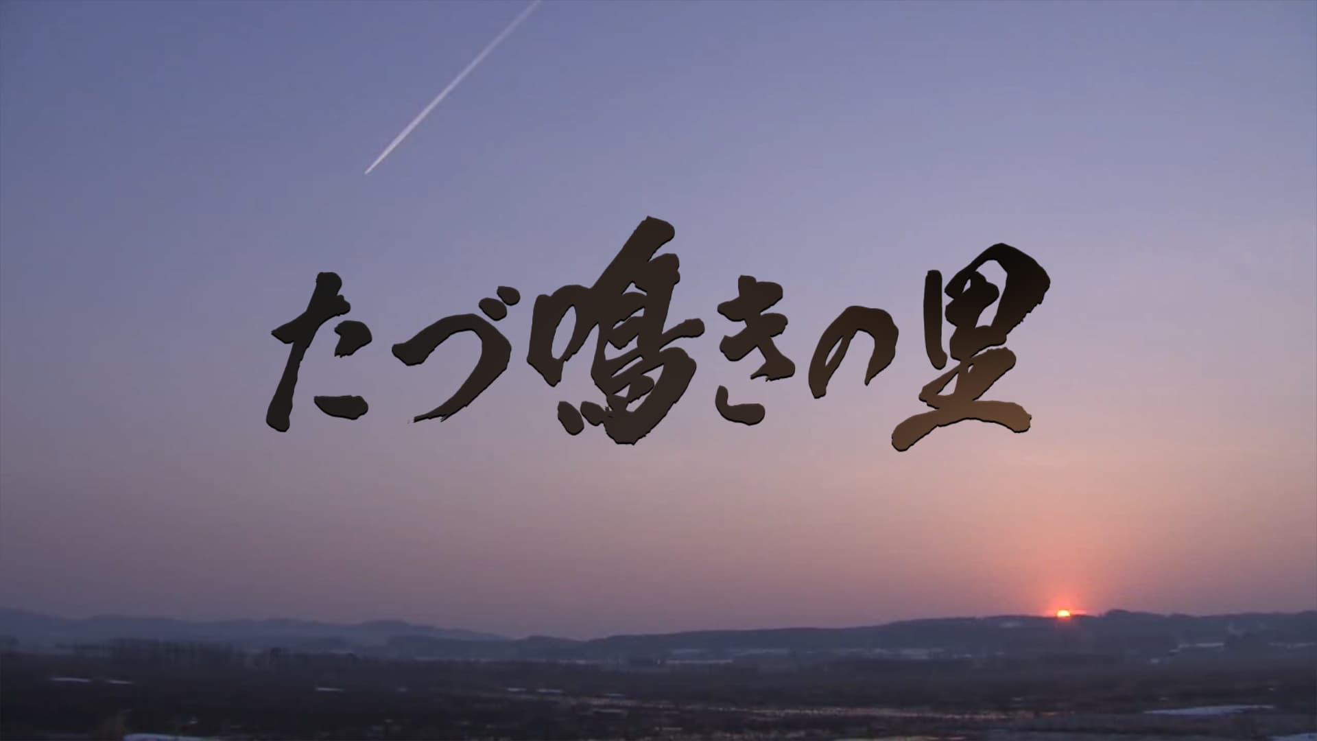 内閣総理大臣賞を受賞！HTB北海道テレビ制作のドキュメンタリー「たづ鳴きの里～タンチョウを呼ぶ農民たちの1500日～」