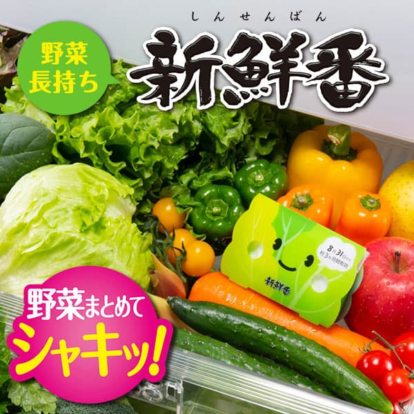 ［冷蔵庫の野菜室に置くだけで野菜がシャキッ！］野菜を新鮮に保つエステー「新鮮番」