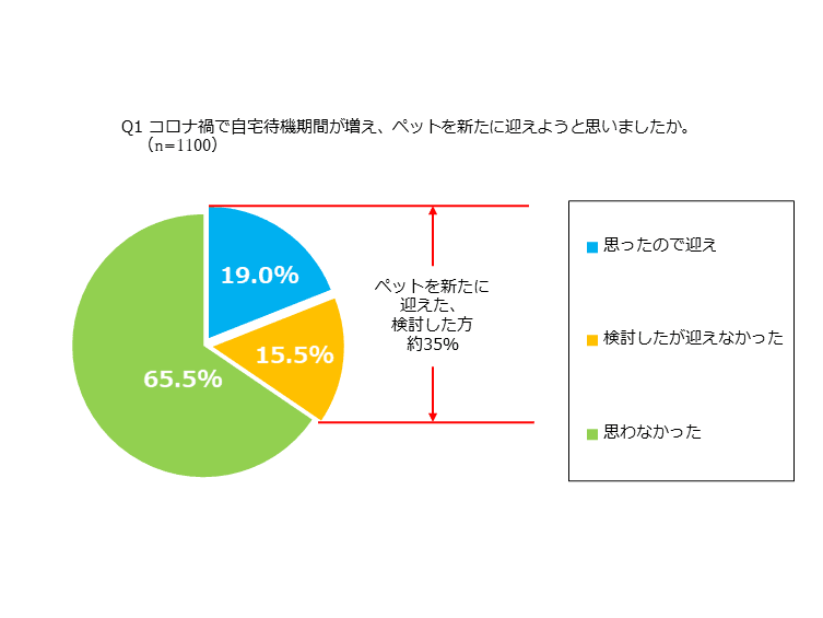 コロナ禍におけるペットとのライフスタイルの変化に関する調査を実施～約35％の方が新たなペットのお迎えを検討～