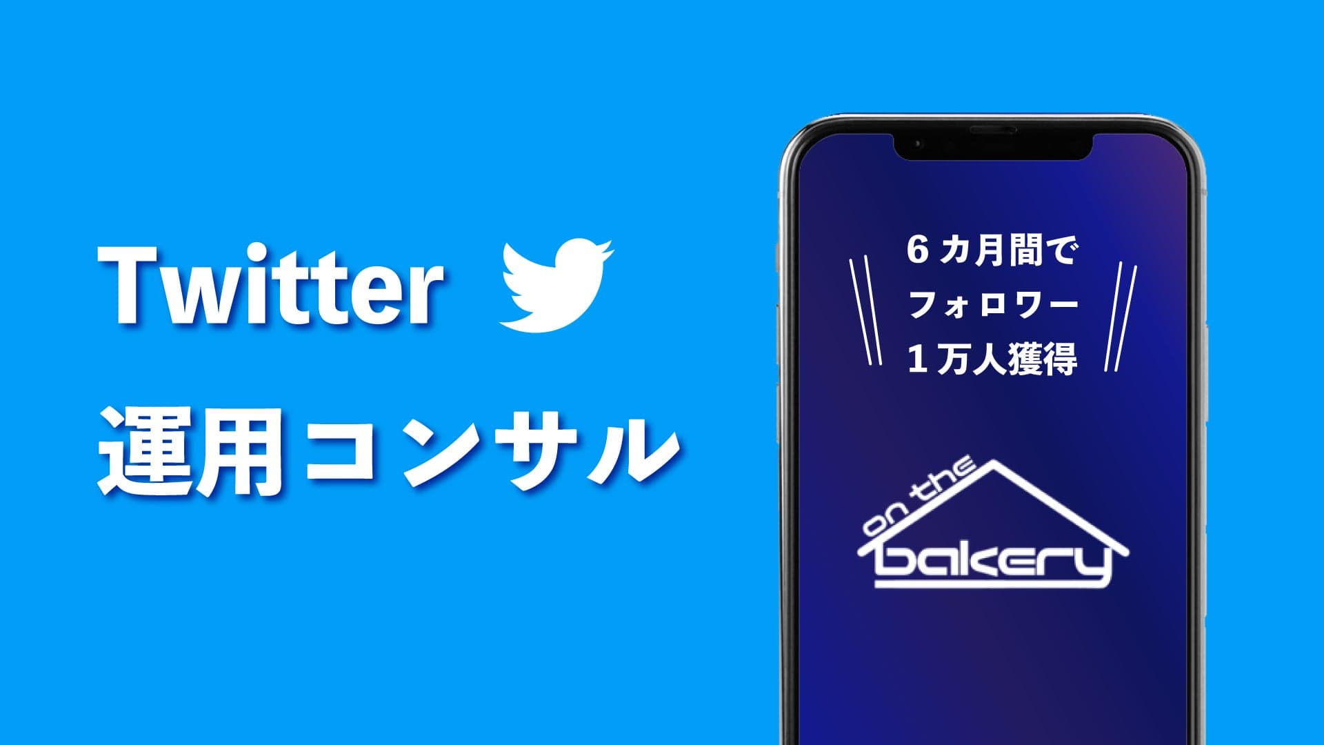 Twitterの運用コンサルを開始《6カ月間でフォロワーを1万人獲得》