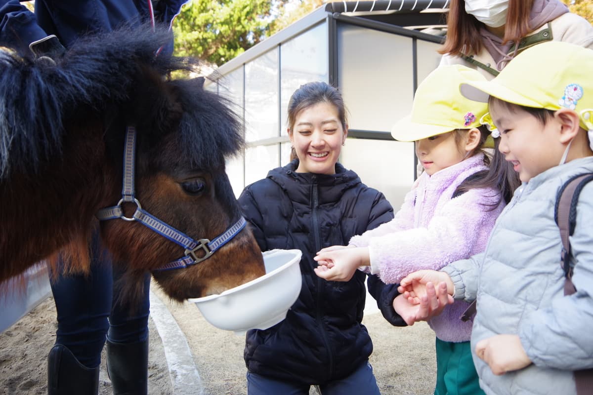 麗澤大学馬術部×麗澤幼稚園のコラボ企画　ポニーとの交流活動を実施