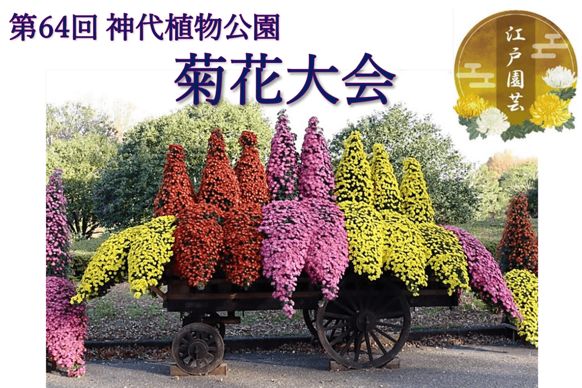 第64回神代植物公園「菊花大会」10月26日(土)～11月17日(日)開催