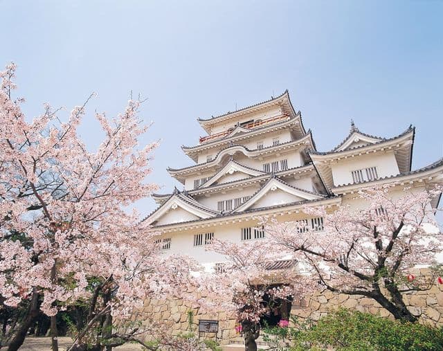 みんなでオンラインお花見をしませんか？