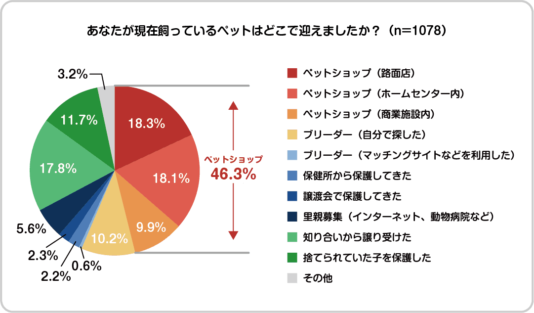 【ペット調査2022】ペットとのライフスタイルに関する調査を実施