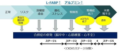 CKDの発症と進行の概念