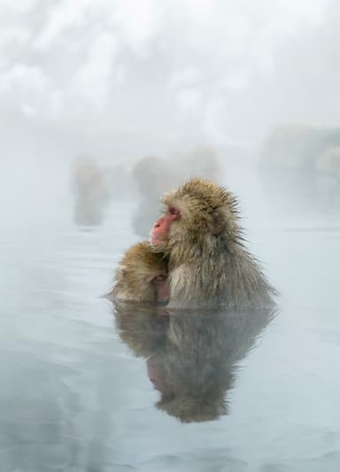 とても珍しい光景です。