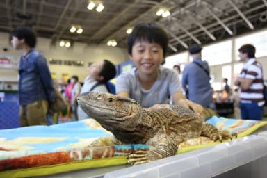 生物を間近で見られる