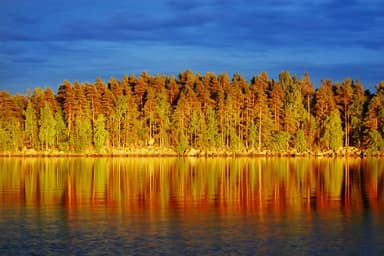 森と湖の国フィンランド、オーロラと美しい紅葉が楽しめます