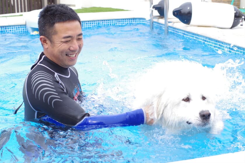 愛犬と一緒にプールで運動不足解消
「ワンコと泳ごう」6月10日・11日開催＠岐阜県