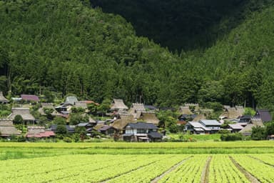 社員さすらいワーク地域画像３