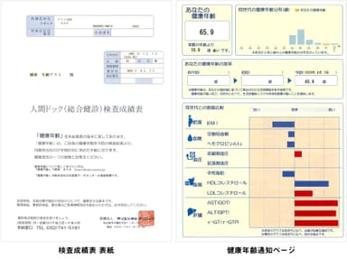 検査成績表 表紙と健康年齢通知ページ