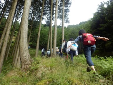 授業参考例(5)里山のフィールドワーク