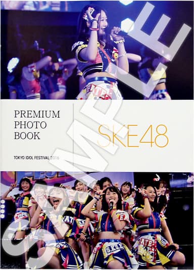 「TIF2016」コラボ景品　SKE48