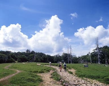 大台ケ原