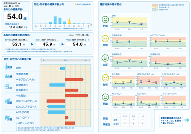 健康年齢レポートサンプル