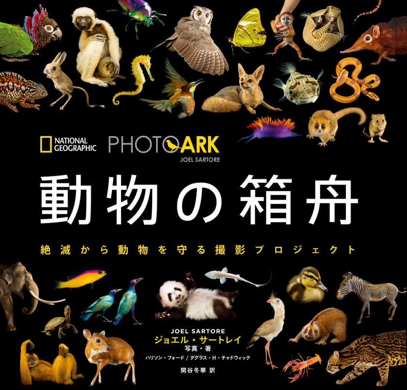 写真集『PHOTO ARK 動物の箱舟
絶滅から動物を守る撮影プロジェクト』
8月15日（火）発行