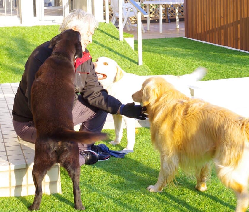 イオンペット×犬と住まいる協会　
「ペットリフォーム」取次ぎに関する提携を8月に開始