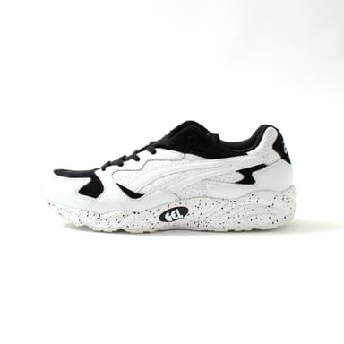 ASICSTIGER2