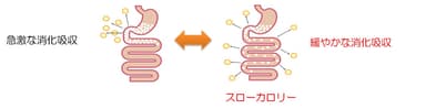 スローカロリーのイメージ図