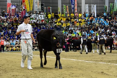 全国和牛能力共進会に出場した地元高校生2