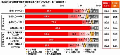 愛犬の散歩頻度