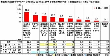 愛犬とのお出かけ・ドライブでの失敗