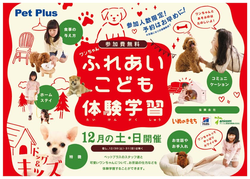 2000組の親子が体験した犬と子供のふれあい教室が開催　
全国77店舗のPetPlusにて、12月の毎週土日に参加費無料で実施