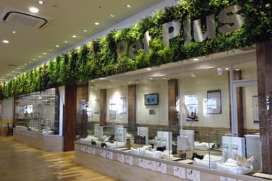 Pet Plus店舗(2)