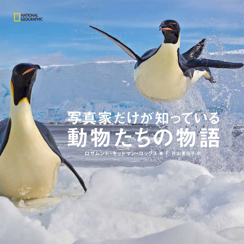 ビジュアル書籍
『写真家だけが知っている 動物たちの物語』
発売中