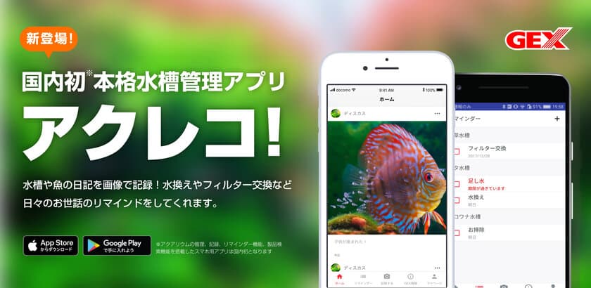 スマホで魚の成長を簡単に記録！
GEX公式水槽管理アプリ『アクレコ！』リリース