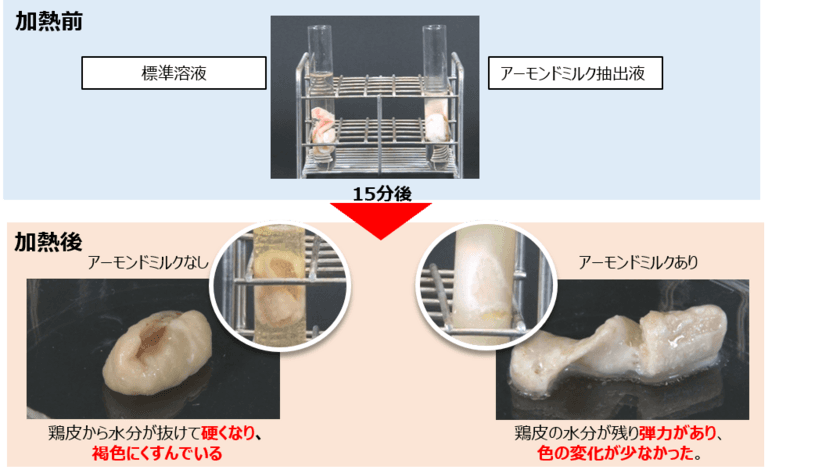 春は紫外線で「糖化」によるくすみが促進される季節　
アーモンドミルクの抗糖化作用を実験により検証　
くすみ対策にはアーモンドミルクが効果的！