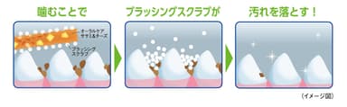 噛むことで「ブラッシングスクラブ」が歯と歯のすき間に入りこみ汚れを落とす