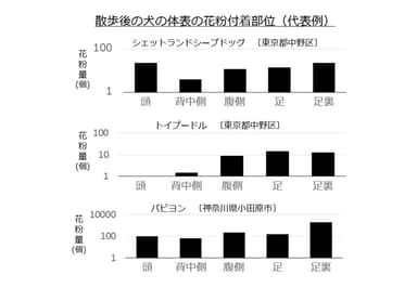 散歩後の犬の体表の花粉付着部位(代表例)