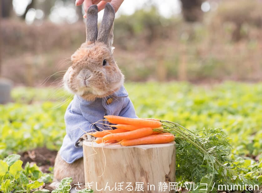 ピーターラビット×うさぎしんぼる展、夢のコラボ！
初上陸・静岡パルコで限定企画・グッズを揃えて4/20～5/13開催