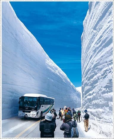 今年も圧巻の雪の大谷