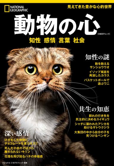 「動物の心 知性 感情 言葉 社会」表紙画像