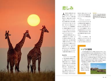 「動物の心 知性 感情 言葉 社会」